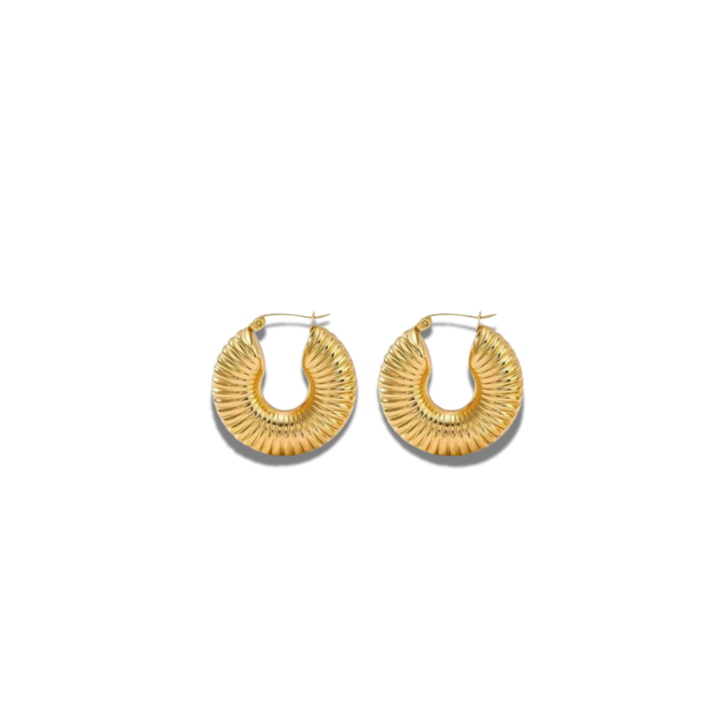 Coil Hoop Earrings